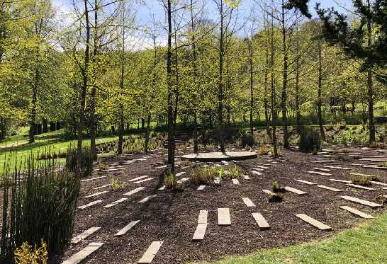 Jardin zen