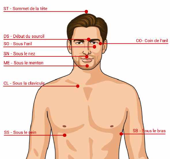 Points EFT tête et torse, c'est quoi l'EFT