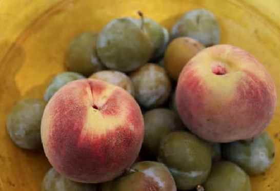 Fruits d'été