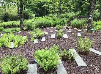 Jardin zen solutions naturelles pour diminuer SOPK