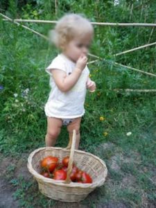 Petite fille dans un potager, l'instinct et le bon sens