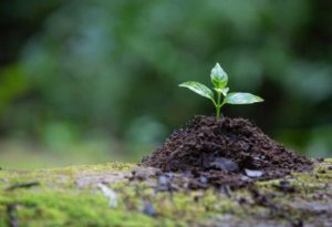 Lire la suite à propos de l’article Comment renforcer mon immunité naturellement