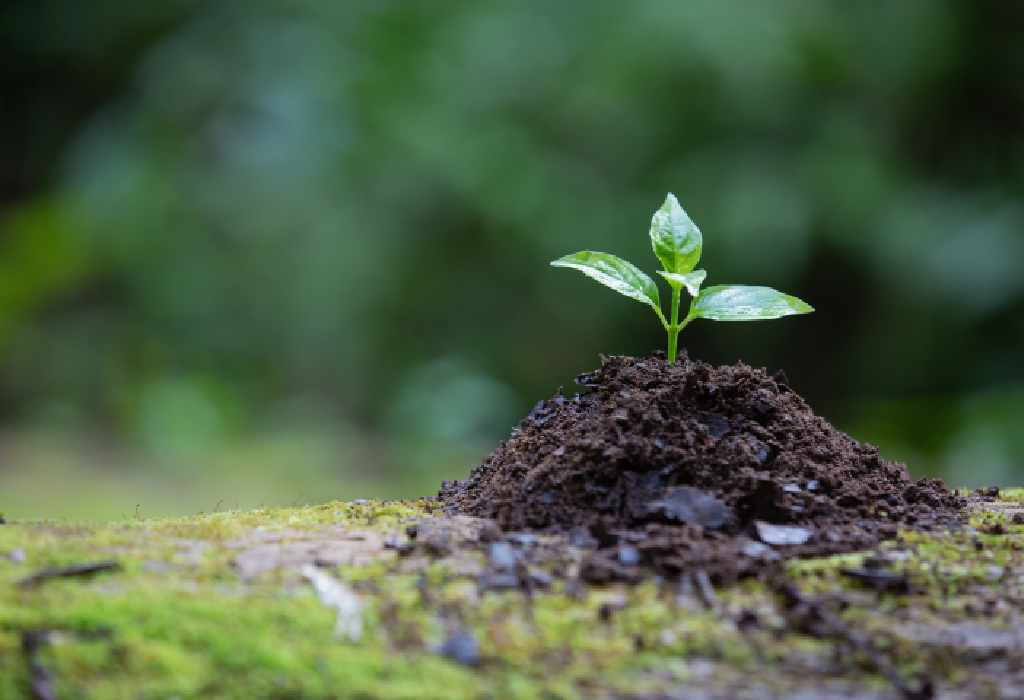 Lire la suite à propos de l’article Comment renforcer mon immunité naturellement