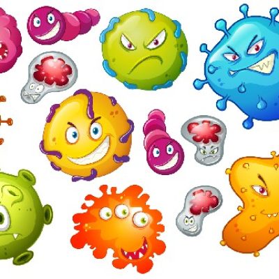 Bactéries