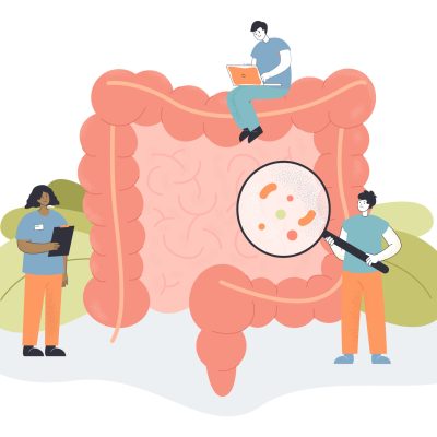 Illustration intestin perméabilité intestinale