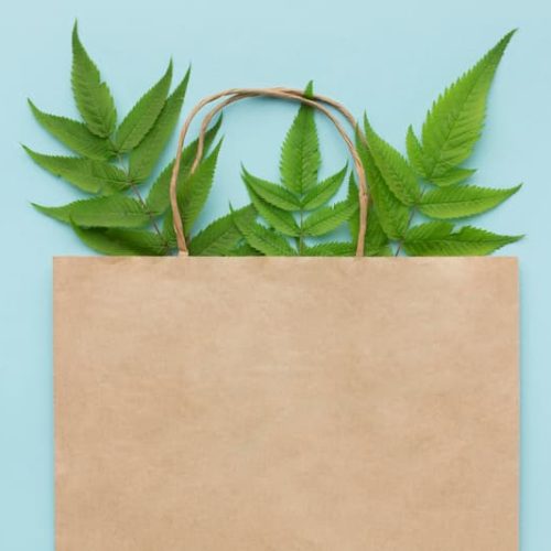 Sac en papier contenant des feuilles, spasmophilie et naturopathie